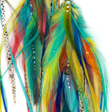 Load image into Gallery viewer, Earrings ⎱Long | Rooster, Emu, Peacock